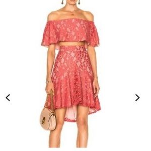 NWT - Alexis Braxten Skirt